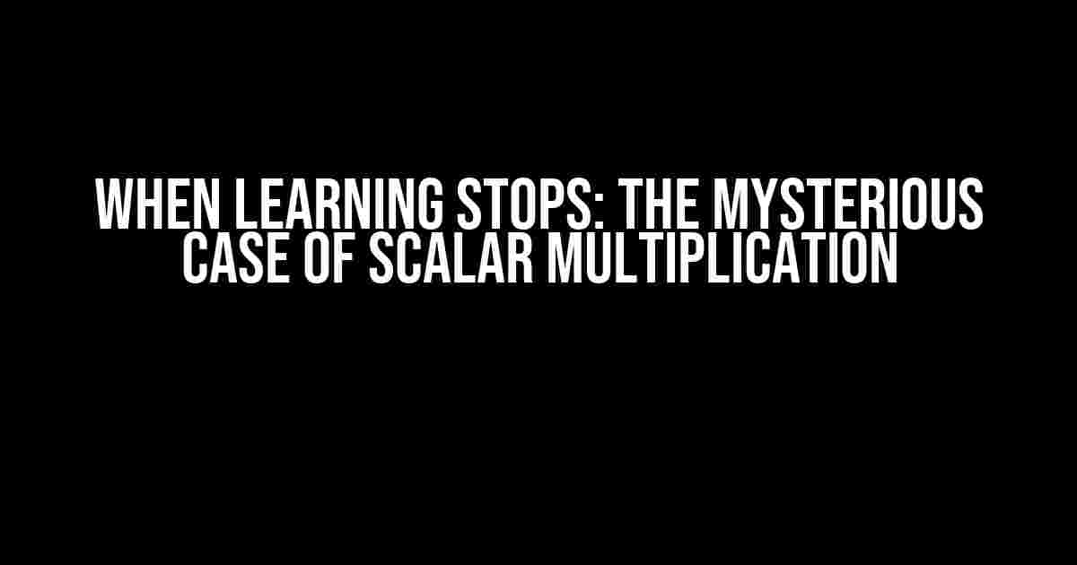 When Learning Stops: The Mysterious Case of Scalar Multiplication